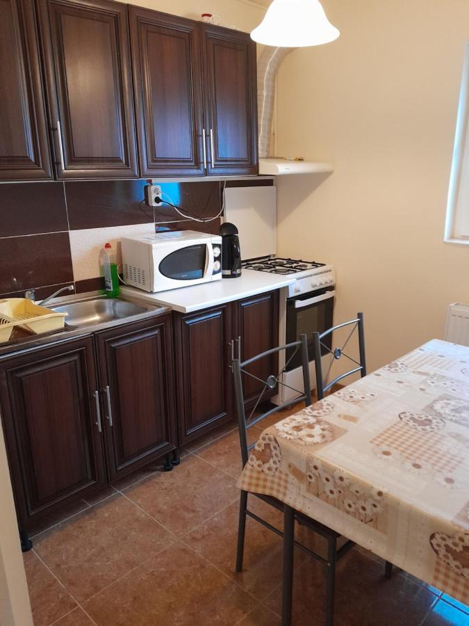Appartement Casa Emilia à Orşova Extérieur photo