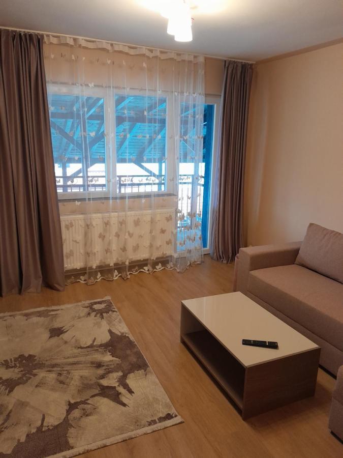Appartement Casa Emilia à Orşova Extérieur photo